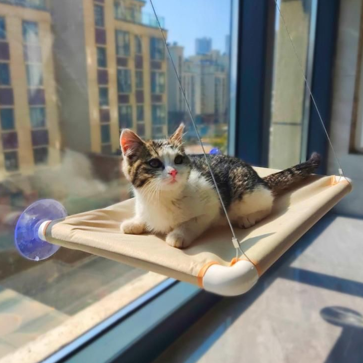 Cama Para Gatos Rede Suspensa Suporta Até 20kg Cama De Animal De Estimação Assento De Janela De Sol em Oferta na Shopee