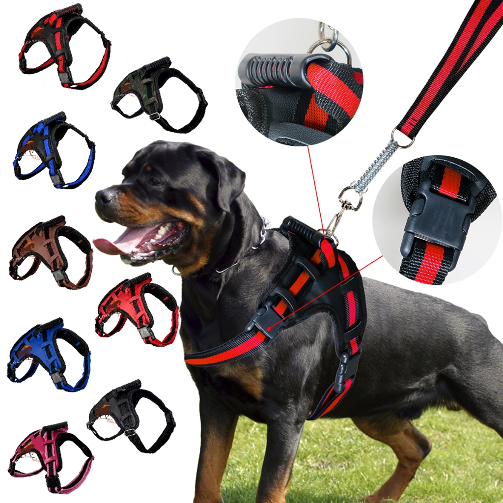 Peitoral Coleira Com Guia Cão Cachorro Com Regulagem em Oferta na Shopee