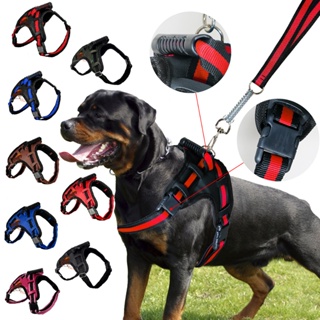 Peitoral Coleira Com Guia Cão Cachorro Com Regulagem em Oferta na Shopee