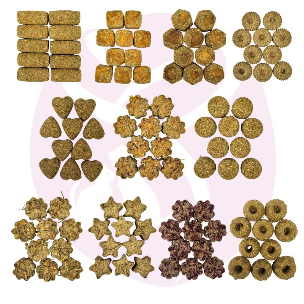 Biscoitos De Feno Saborizado Para Roedores (Coelhos, Chinchilas, Porquinho da Índia) 10 Unidades em Oferta na Shopee