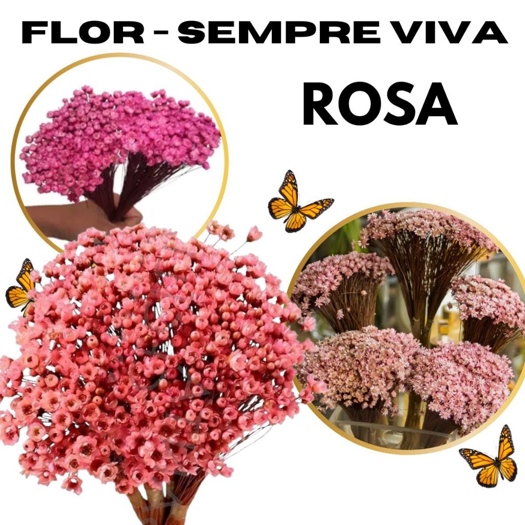 Flor sempre viva rosê, kit com até 1.500 flores secas / atacado em Oferta na Shopee