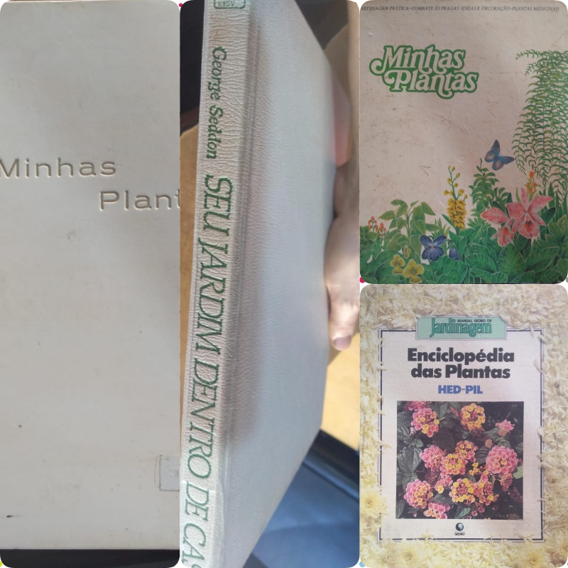 LIVRO BOTANICA: NESTE LOTE VC ENCONTRARA VARIOS LIVROS LIGADO A FLORA[VENDA POR UNIDADE OU LOTE]