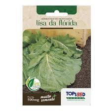 Semente Mostarda Lisa da Florida Topseed - 1 Envelope