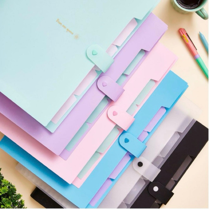 Pasta Sanfonada | Pasta para documentos | Pasta A4