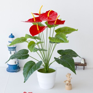 KIT2 Planta verde artificial antúrio flor falsa em Oferta na Shopee