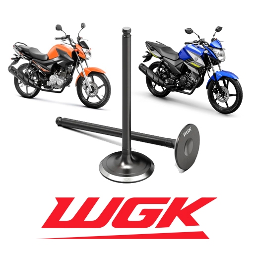 Válvula Escape Ybr 150 Factor Xtz 150 Crosser Ys 150 Fazer