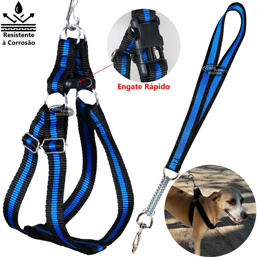 Husky com Pastor Alemão: Onde Comprar | BuscaProdutos