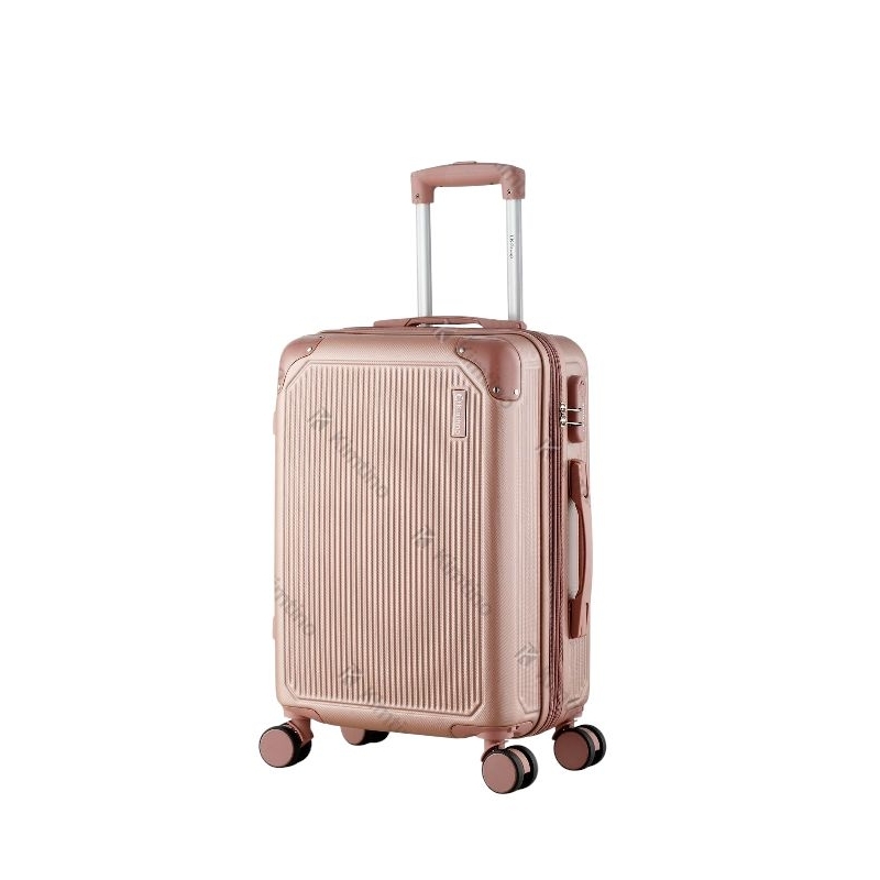 Mala de viagem 10kg padrão Anac viajar viagem