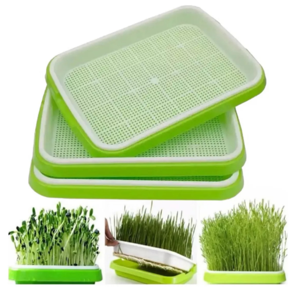 Kit com 3 Bandeja Verde Para Microverdes Dupla Camada Germinação Broto em Oferta na Shopee