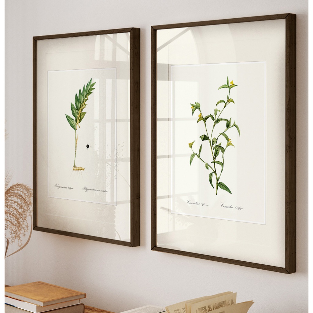 Quadro Natureza Minimalista Com Moldura E Vidro Quadro Decorativo Sala Grande Botânico Plantas Duo