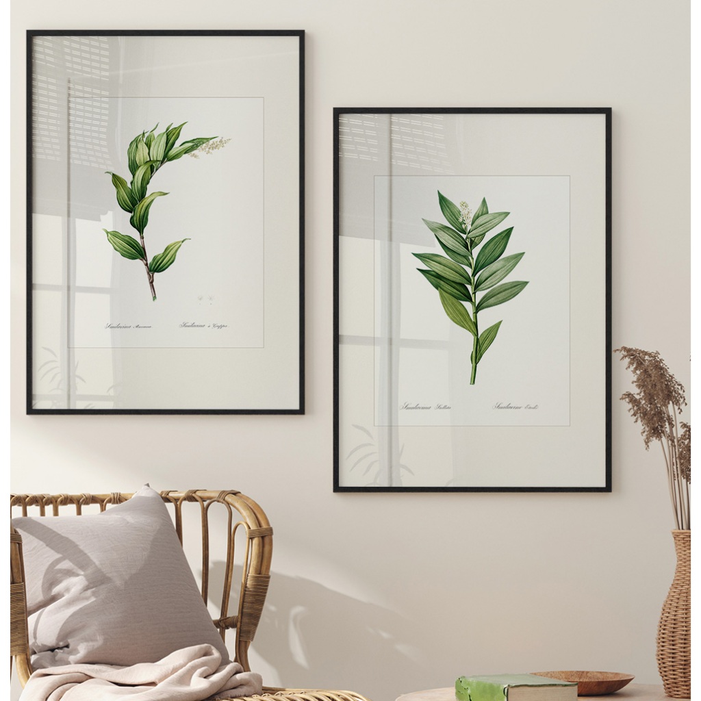 Quadros Decorativos com Moldura Sala Quarto Duo Florais Smilacina Racemosa & Smilacina Ste...