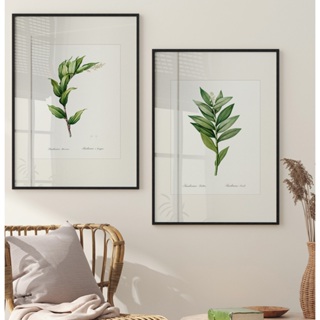 Quadros Decorativos Com Moldura Sala Quarto Duo Arte Floral Smilacina Racemosa & Smilacina Stellata em Oferta na Shopee