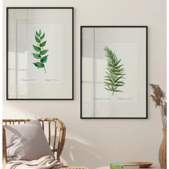 Quadro Decorativo Sala Com Moldura Quadro Botânico Folhas Verdes Ramos Moldura Quadro Sala Duo