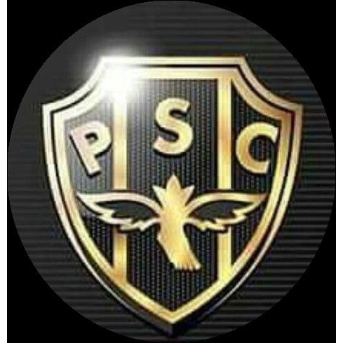 20 adesivos do Paysandu em Escudo Dourado e Brilhante (9cm)