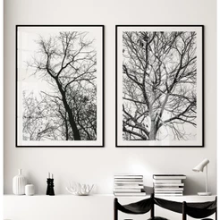 Quadros Decorativos Quarto Árvores Secas Quadro Preto E Branco Quadro Decorativo Sala Com Moldura