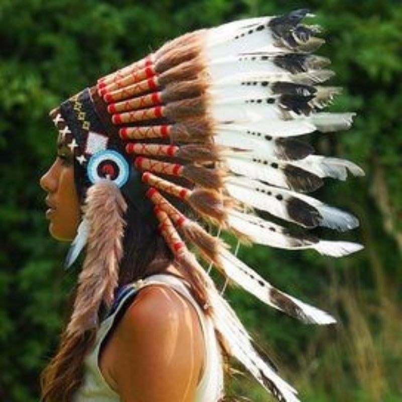 Cocar, modelos diversos, Penacho Nativo americano índio fantasia festa cosplay unissex