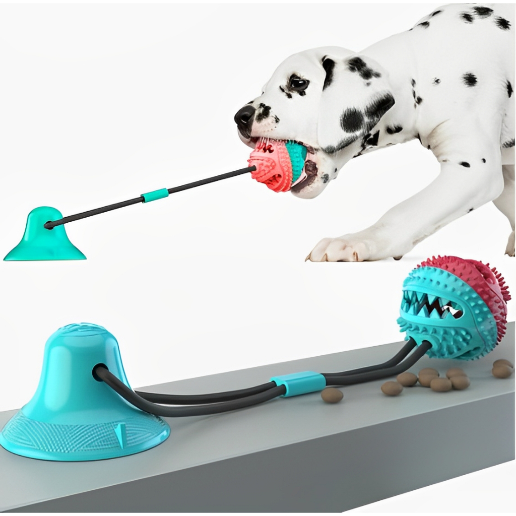 Brinquedo Pet De Cachorro Push Ball Mordedor Interativo Corda Com Bolinha Porta Petisco Ventosa Chão em Oferta na Shopee