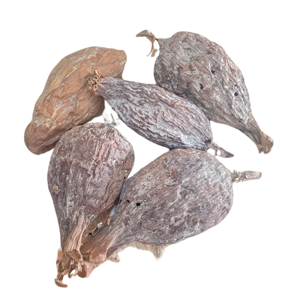 Fava De Ataré Pimenta Da Costa Africana Natural Unidade Umbanda E Candomblé em Oferta na Shopee