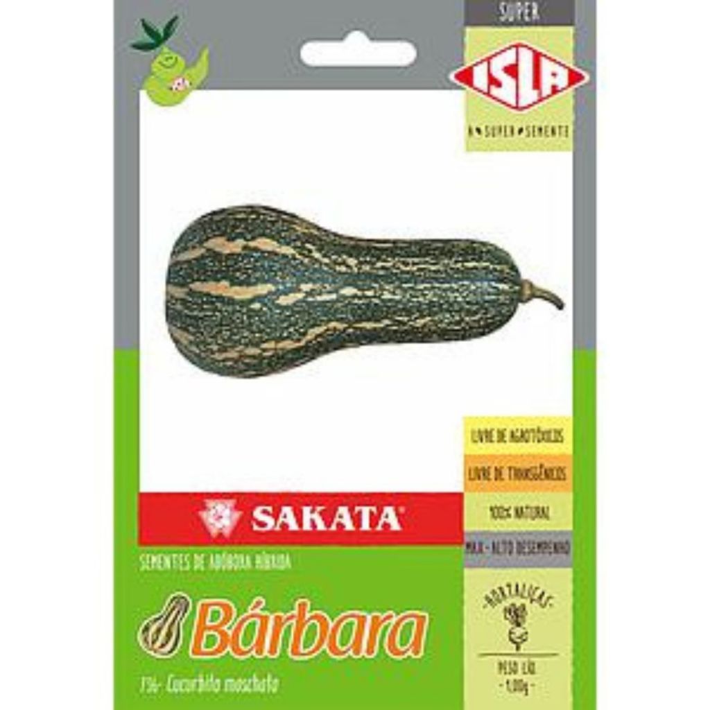95 SEMENTES DE ABÓBORA MINI PAULISTA - ABOBORA BARBARA - ABÓBORA DE PESCOÇO CURTO - MINI PAULISTA