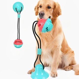 Bola De Brinquedo Para Pet Cachorro Porta Petisco Com Ventosa Gruda Chão Parede Mordedor Pet Ball em Oferta na Shopee