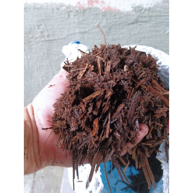 10 litros de Bagana de carnaúba adubo substrato