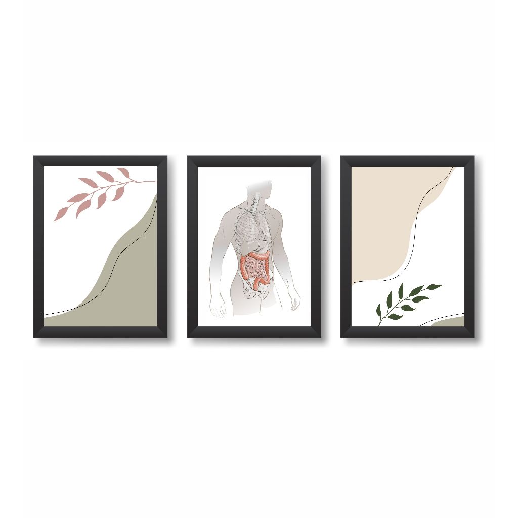 Kit 3 Quadros Decorativos Sistema Digestivo Medicina Molduras 20x30cm Madeira Vidro Cor Pretas