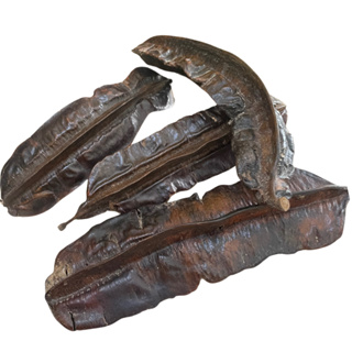 Fava De Aridan Africana Original Unidade Umbanda Candomblé em Oferta na Shopee