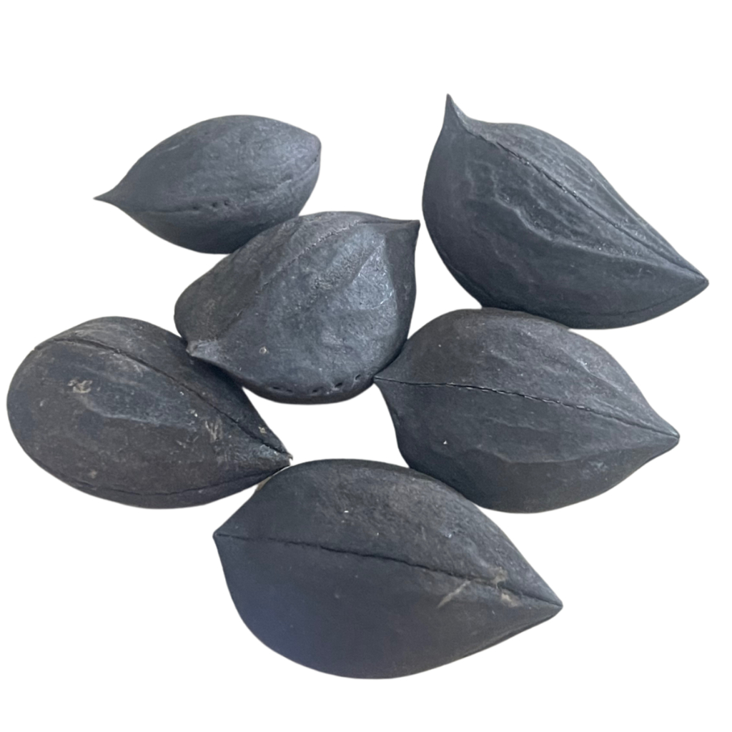 Garra De Exú Para Assentamento E Ritual Kit 5 Unidades Umbanda Candomblé em Oferta na Shopee