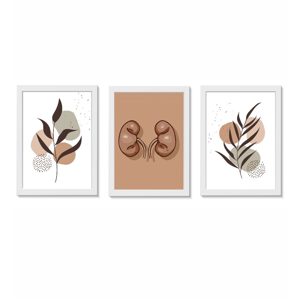 Kit 3 Quadros Decorativos Rins Sistema Urinário Nefrologia Medicina Consultório Clínica Molduras 20x30cm Madeira Vidro