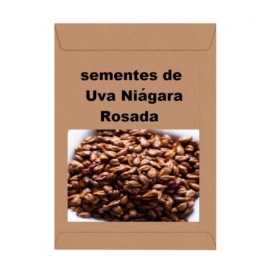 15 sementes de Uva Niágara Rosada orgânica para plantar no vaso ou quintal...