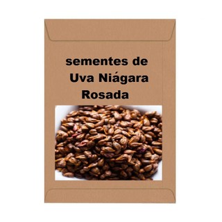 10 sementes de Uva Niágara Rosada orgânica para plantar no vaso ou quintal