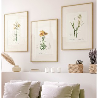 Quadros Decorativos Sala Quarto Casal Trio Com Moldura Arte Floral Flores Lis Blanc & Lis Bulbifere