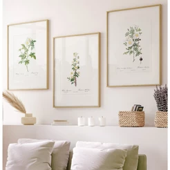 Quadro Decorativo Sala Com Moldura Trio Rosas Brancas Quadro De Flores Botânico Quadros Decorativos