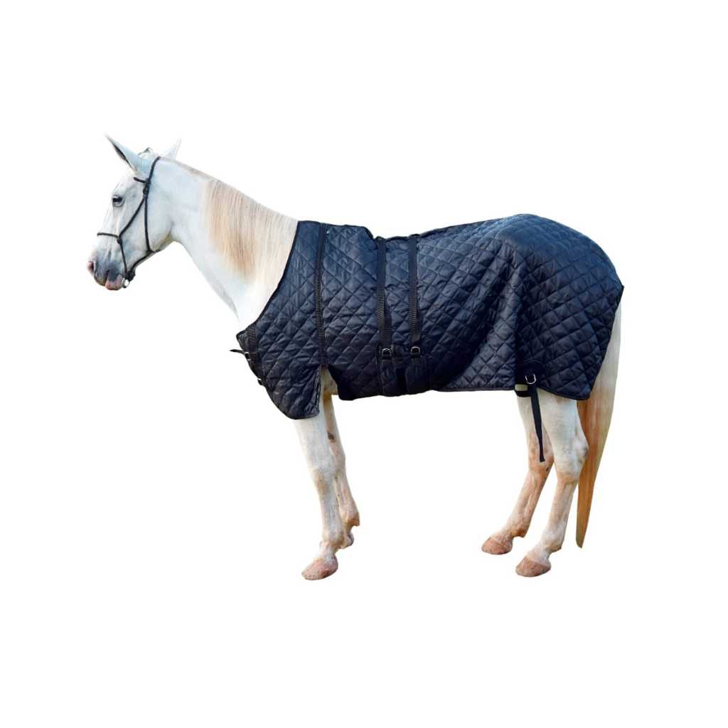 Capa de Inverno Pra Aquecer Cavalo Inverno Selaria O Seleiro