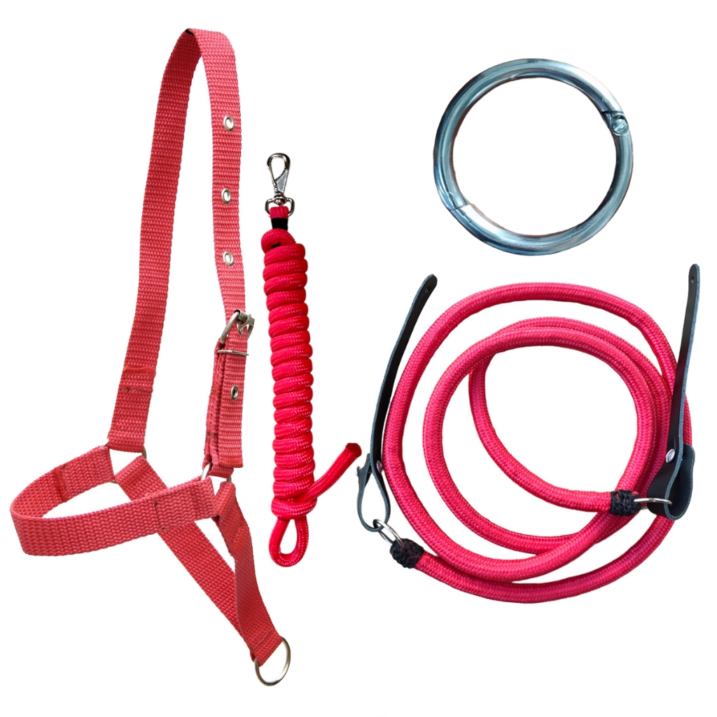 Bucal para Boi: Guia Completo e Onde Comprar | BuscaProdutos