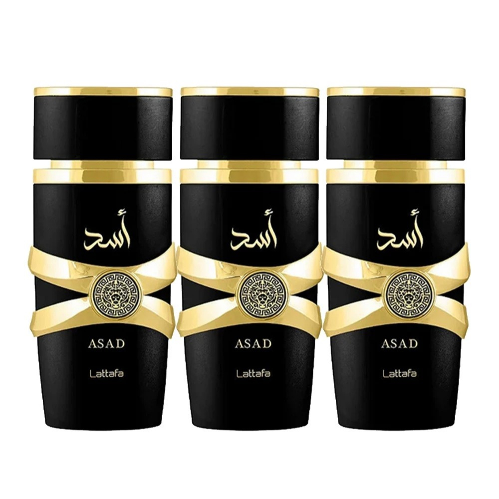 KIT 3 PERFUME ARABES ASSAD MASCULINO IMPORTADO FRAGANCIA CONCENTRADA OTIMA FIXAÇÃO PREMIUM Envio imediato a sua compra!