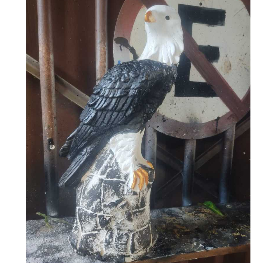 Gaviao Aguia Gesso Espanta Pombo E Passarinhos Decoracao Casa Jardim Estatua Enfeite Casa