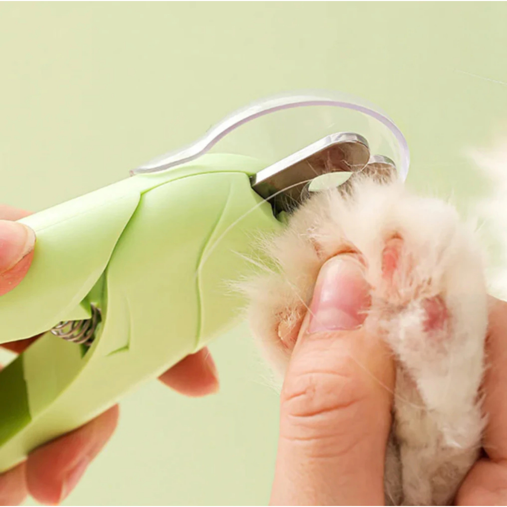 Cortador de Unhas Para Cães e Gatos Pet Kit Alicate e Lixa Com Led e Tesoura Completa Cortador de Unhas Para Cães e Gatos Pet Kit Alicate e Lixa Com Led e Tesoura Completa