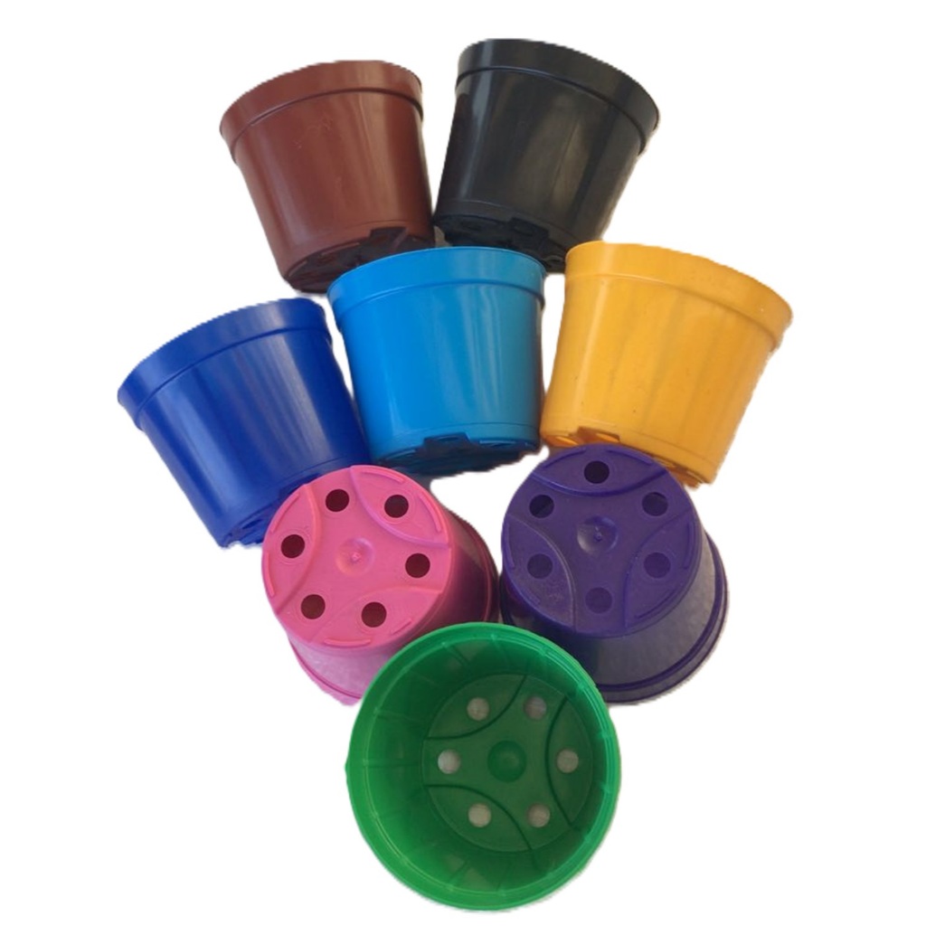 100 Vasos Vasinhos Pote 7 Para Suculentas Cactos Coloridos Lembrancinhas 150 Ml
