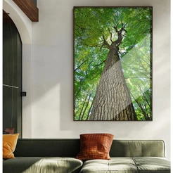 Quadro Decorativo Sala Com Moldura Árvore Folhagem Natureza Quadro Para Sala Grande Floresta Verde