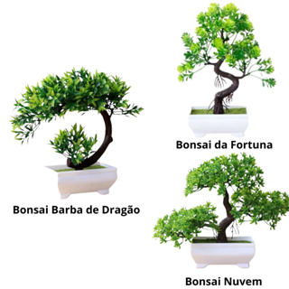 Kit 3 Bonsai Artificial Realista Plástico Natural Pinho Bonsai para Decorações em Oferta na Shopee