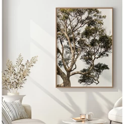 Quadro Árvore Da Vida Quadro Decorativo Sala Quadro Grande Com Moldura E Vidro Galhos Natureza