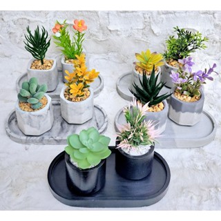 kit mini vasinho de cimento decorado ( 1 bandeja +2 vasinhos decorados com suculenta artif...
