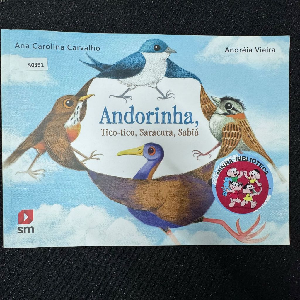 Livro  andorinha tico-tico saracura- Ana Carolina Carvalho, SM , -a0391