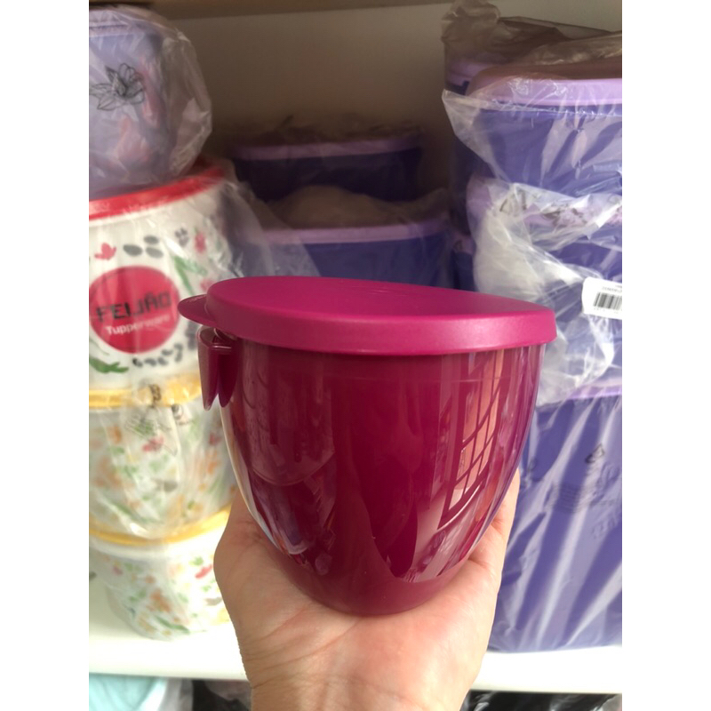 Petisqueira com Tampa Tupperware: Onde Comprar | BuscaProdutos