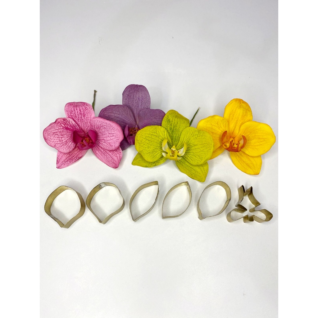 Kit cortador orquidea phalaenopsis com 07pcs