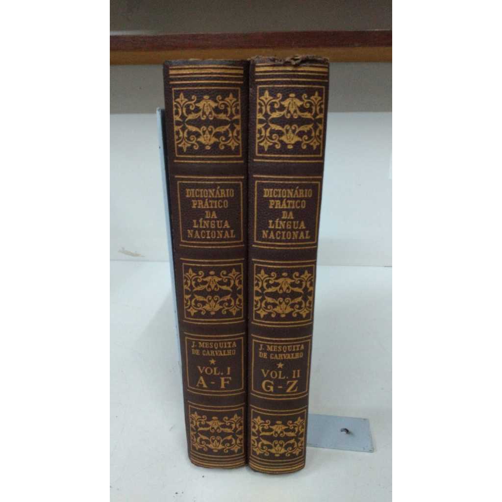 Dicionário Prático Da Língua Nacional J Mesquita De Carvalho Editora Globo 2 Volumes 15766