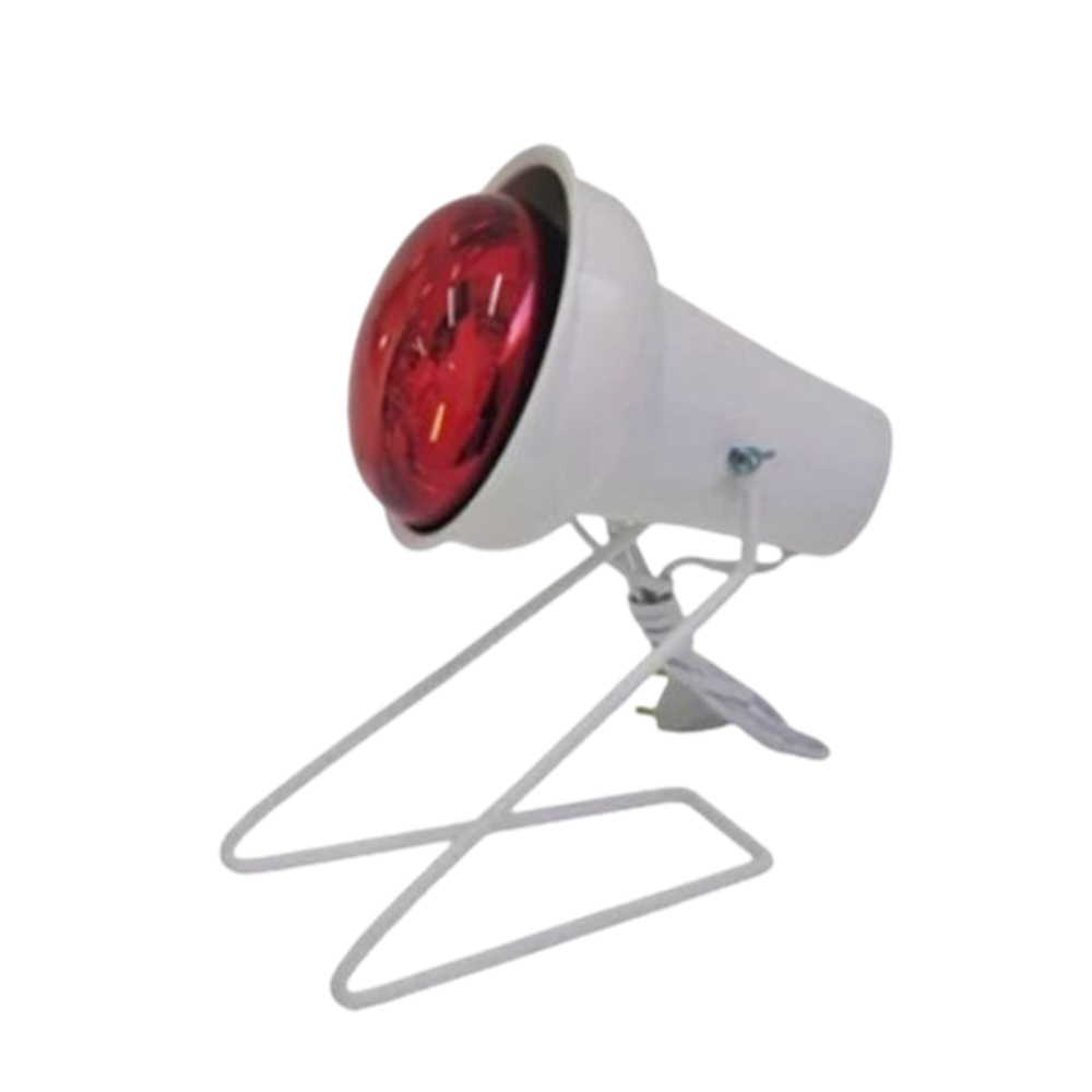 Lâmpada com Refletor: Onde Comprar | BuscaProdutos