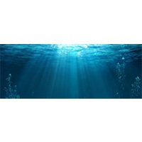Papel de Parede Fundo do Mar Natureza Peixes Sala Painel - 130pc_260Largx100Alt