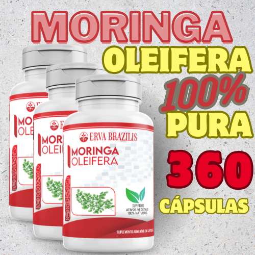 Kit 3 Suplemento Moringa Oleifera 500Mg | Erva Brazilis